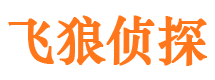 仙桃市侦探调查公司